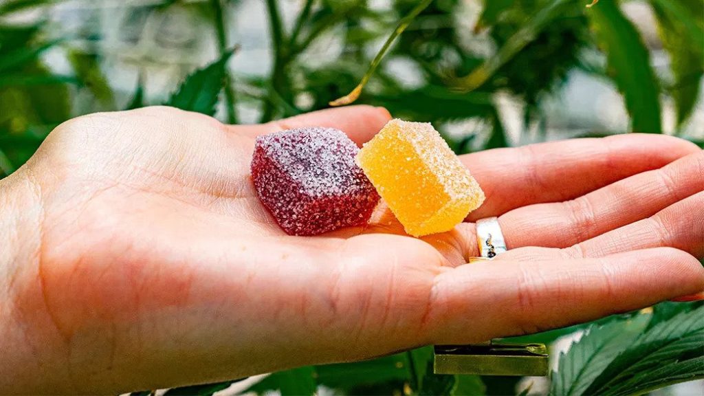 Hand showing two CBD gummies